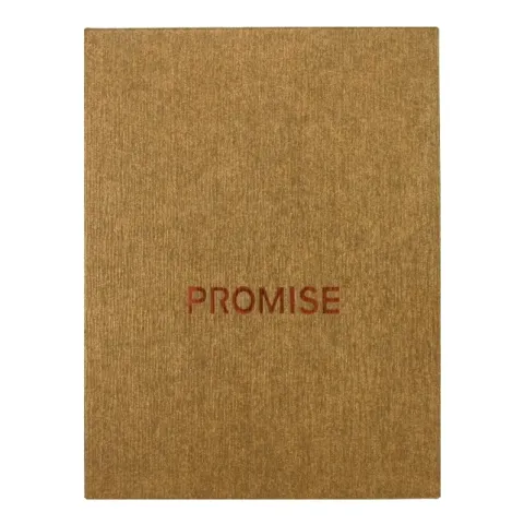 Promise BN220Y турбо зажигалка Promise BN220Y турбо зажигалка