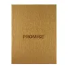 Promise BN224D сенсорная турбо зажигалка